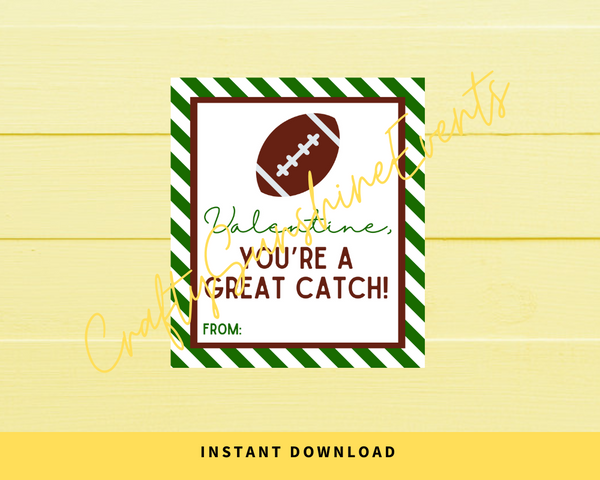 INSTANT DOWNLOAD Valentine, You're A Great Catch Football Valentine's Day Printable Cards 3.5x4