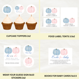 DIGITAL DOWNLOAD ONLY Fall Pink And Blue Pumpkin Gender Reveal Bundle Set