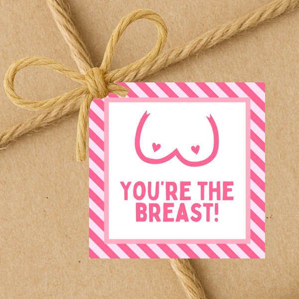 INSTANT DOWNLOAD Breast Cancer Awareness You're The Breast Square Gift Tags 2.5x2.5