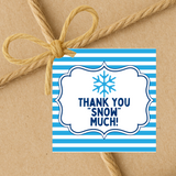 INSTANT DOWNLOAD Snowflake Thank You Snow Much Square Gift Tags 2.5x2.5