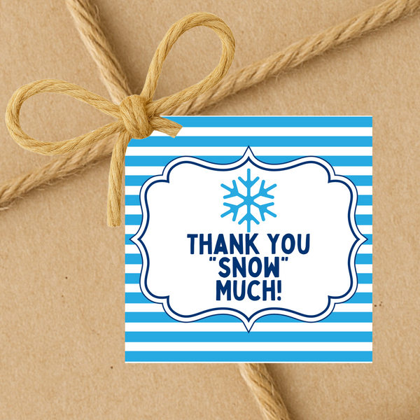 INSTANT DOWNLOAD Snowflake Thank You Snow Much Square Gift Tags 2.5x2.5