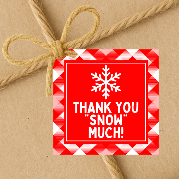 INSTANT DOWNLOAD Plaid Red Snowflake Thank You Snow Much Winter Square Gift Tags 2.5x2.5