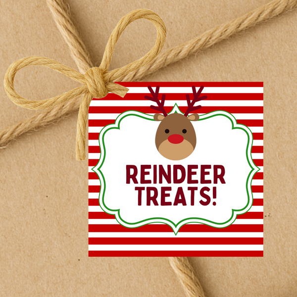 INSTANT DOWNLOAD Reindeer Treats Christmas Square Gift Tags 2.5x2.5