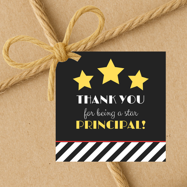 INSTANT DOWNLOAD Thank You For Being A Star Principal Square Gift Tags 2.5x2.5