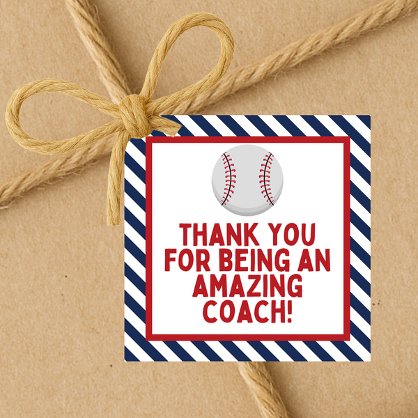 INSTANT DOWNLOAD Baseball Thank You For Being An Amazing Coach Square Gift Tags 2.5x2.5