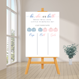 DIGITAL DOWNLOAD ONLY Fall Pink And Blue Twins Pumpkin Gender Reveal Party Voting Poster