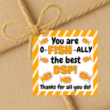 INSTANT DOWNLOAD You Are O-Fish-Ally The Best DSP Square Gift Tags 2.5x2.5