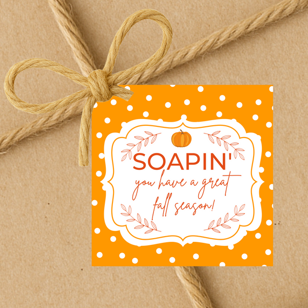 Soapin' You Have A Great Fall Season | Fall Theme Gift Tags | Instant Download | 2.5x2.5