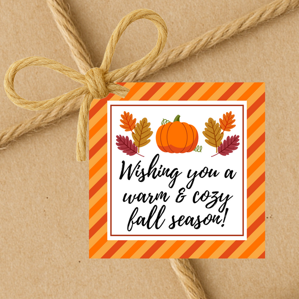 Wishing You A Warm & Cozy Fall Season | Fall Theme Gift Tags | Instant Download | 2.5x2.5