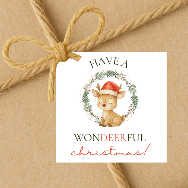 INSTANT DOWNLOAD Have A Wondeerful Christmas Square Gift Tags 2.5x2.5