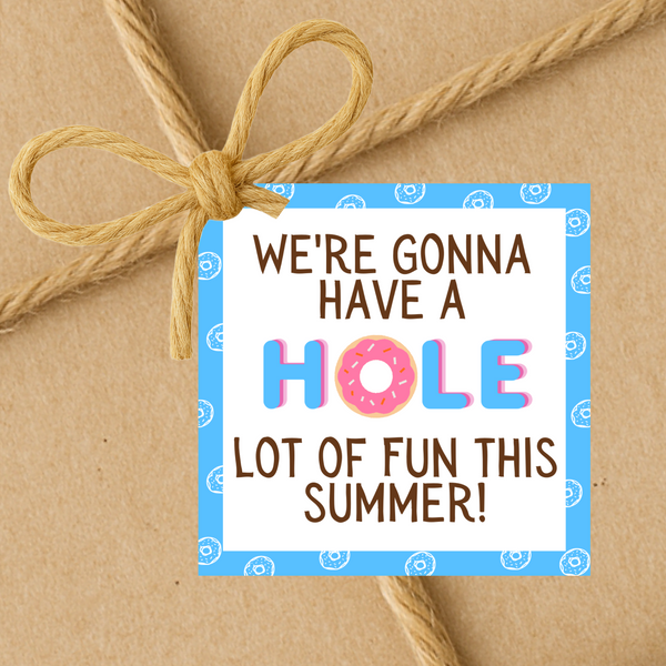 INSTANT DOWNLOAD We're Gonna Have A Hole Lot Of Fun This Summer Square Gift Tags 2.5x2.5
