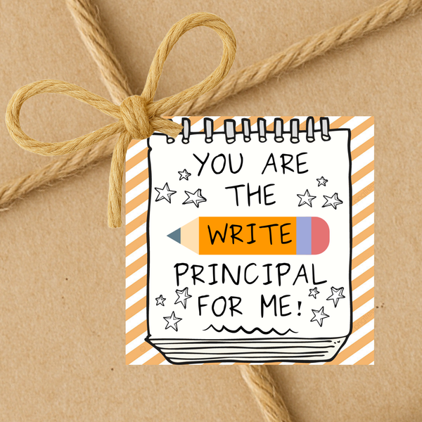 INSTANT DOWNLOAD You Are The Write Principal For Me Square Gift Tags 2.5x2.5