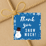 INSTANT DOWNLOAD Thank You Snow Much Square Gift Tags 2.5x2.5