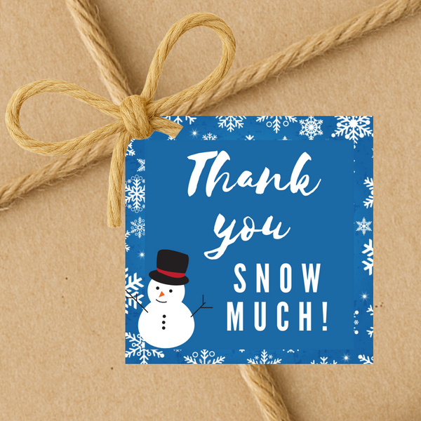 INSTANT DOWNLOAD Thank You Snow Much Square Gift Tags 2.5x2.5