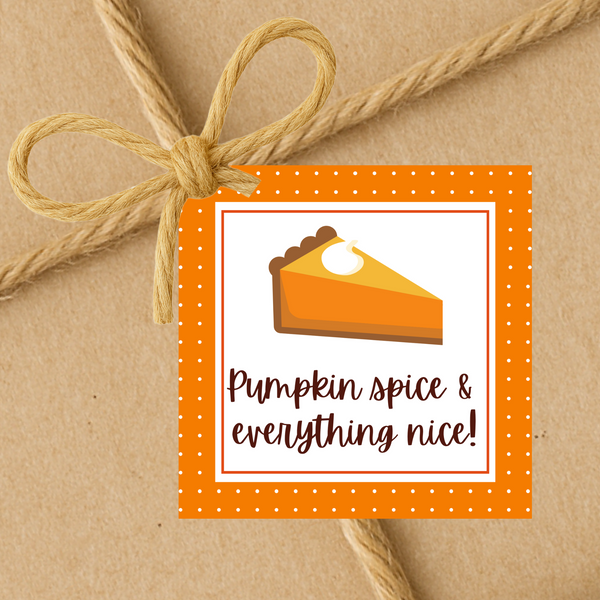 INSTANT DOWNLOAD Pumpkin Spice & Everything Nice Square Gift Tags 2.5x2.5