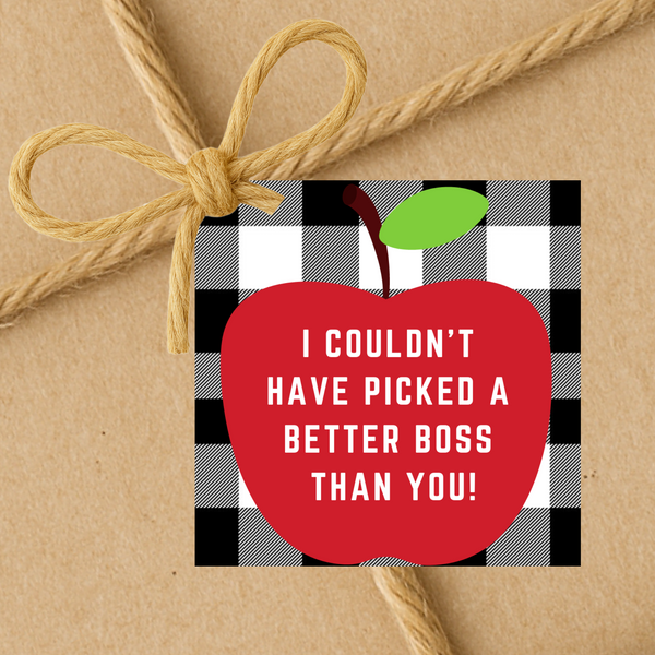 INSTANT DOWNLOAD I Couldn't Have Picked A Better Boss Than You Square Gift Tags 2.5x2.5
