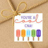 INSTANT DOWNLOAD You're A Cool CNA Square Gift Tags 2.5x2.5
