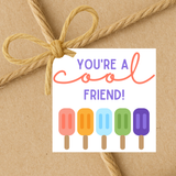 INSTANT DOWNLOAD You're A Cool Friend Square Gift Tags 2.5x2.5