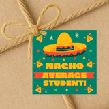 INSTANT DOWNLOAD Nacho Average Student Square Gift Tags 2.5x2.5