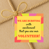 INSTANT DOWNLOAD We Are Bursting With Excitement That You Are Our Volunteer Square Gift Tags 2.5x2.5