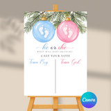 DIGITAL DOWNLOAD ONLY Christmas Pink And Blue Ornament Gender Reveal Party Voting Poster