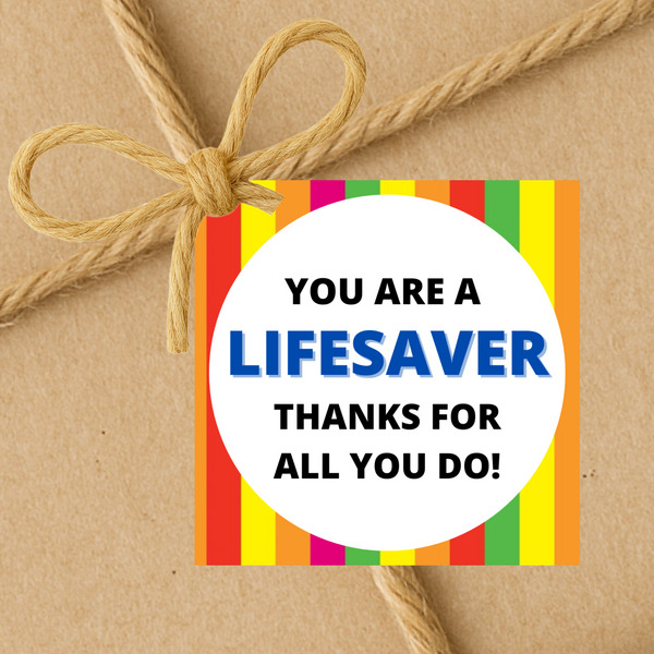 INSTANT DOWNLOAD You Are A LifeSaver Thanks For All You Do Square Gift Tags 2.5x2.5