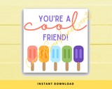 INSTANT DOWNLOAD You're A Cool Friend Square Gift Tags 2.5x2.5