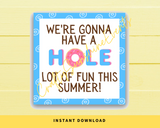 INSTANT DOWNLOAD We're Gonna Have A Hole Lot Of Fun This Summer Square Gift Tags 2.5x2.5