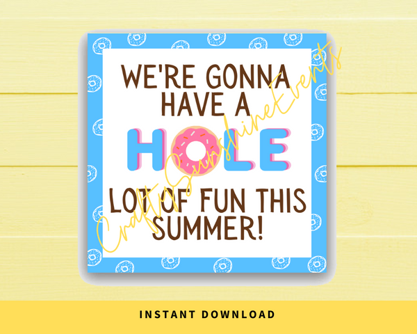 INSTANT DOWNLOAD We're Gonna Have A Hole Lot Of Fun This Summer Square Gift Tags 2.5x2.5