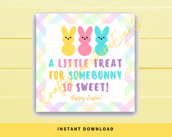 INSTANT DOWNLOAD A Little Treat For Somebunny So Sweet Happy Easter Gift Tags 2.5x2.5