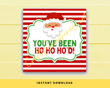 INSTANT DOWNLOAD You've Been Ho Ho Ho'd Christmas Square Gift Tags 2.5x2.5