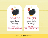 INSTANT DOWNLOAD Soapin You Have A Very Happy Thanksgiving Gift Tags 2x3.5