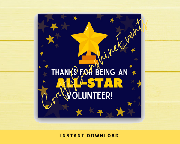 INSTANT DOWNLOAD Thanks For Being An All-Star Volunteer Square Gift Tags 2.5x2.5