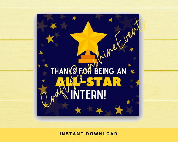 INSTANT DOWNLOAD Thanks For Being An All-Star Intern Square Gift Tags 2.5x2.5