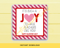 INSTANT DOWNLOAD It's Such A Joy To Have Teachers Like You Happy Valentine's Day Gift Tags 2.5x2.5