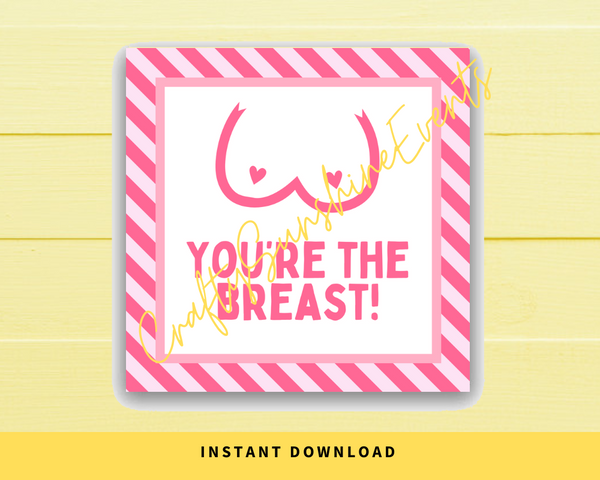 INSTANT DOWNLOAD Breast Cancer Awareness You're The Breast Square Gift Tags 2.5x2.5