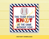 INSTANT DOWNLOAD Baseball This Team Would Knot Be The Same Without You Pretzel Square Gift Tags 2.5x2.5