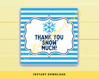 INSTANT DOWNLOAD Snowflake Thank You Snow Much Square Gift Tags 2.5x2.5