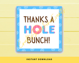 INSTANT DOWNLOAD Thanks A Hole Bunch Donut Square Gift Tags 2.5x2.5