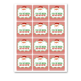 INSTANT DOWNLOAD You've Been Ho Ho Ho'd Christmas Square Gift Tags 2.5x2.5