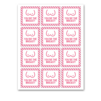 INSTANT DOWNLOAD Breast Cancer Awareness You're The Breast Square Gift Tags 2.5x2.5