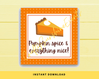INSTANT DOWNLOAD Pumpkin Spice & Everything Nice Square Gift Tags 2.5x2.5