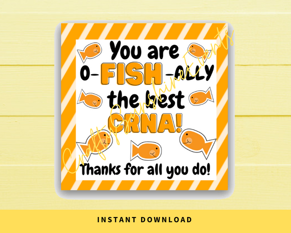 INSTANT DOWNLOAD You Are O-Fish-Ally The Best CRNA Square Gift Tags 2.5x2.5