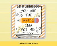 INSTANT DOWNLOAD You Are The Write CNA For Me Square Gift Tags 2.5x2.5