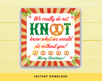 INSTANT DOWNLOAD We Really Do Knot Know What We Would Do Without You Merry Christmas Square Gift Tags 2.5x2.5
