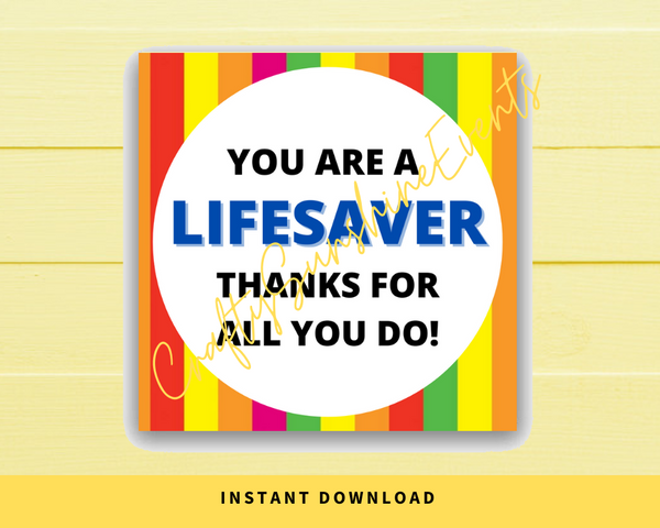 INSTANT DOWNLOAD You Are A LifeSaver Thanks For All You Do Square Gift Tags 2.5x2.5