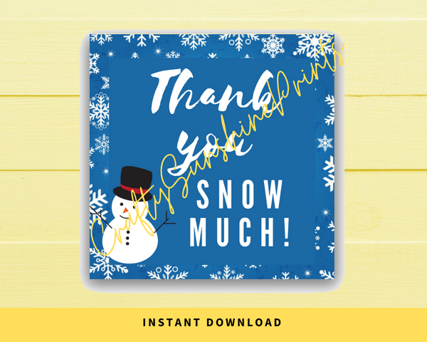INSTANT DOWNLOAD Thank You Snow Much Square Gift Tags 2.5x2.5
