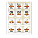 INSTANT DOWNLOAD Thank You For Being A Super Student Square Gift Tags 2.5x2.5
