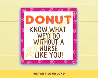 INSTANT DOWNLOAD Donut Know What We'd Do Without A Nurse Like You Gift Tags 2.5x2.5