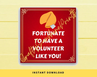INSTANT DOWNLOAD Fortunate To Have A Volunteer Like You Square Gift Tags 2.5x2.5